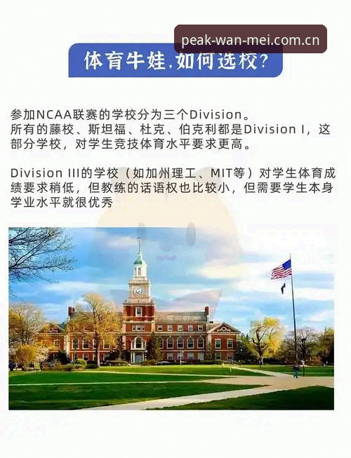 揭秘完美体育平台下载背后的真相：你的品牌首页为何加载不了？