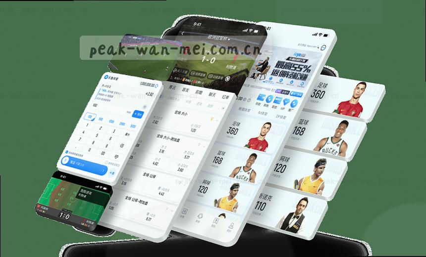 NBA赛季实时数据 运动雷达体育